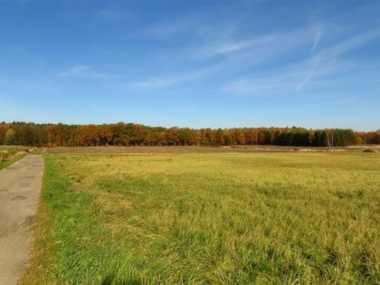 Działka budowlana Chełm Śląski