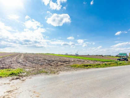 Działka budowlana Wojciechów-Kolonia Pierwsza gm. Wojciechów,