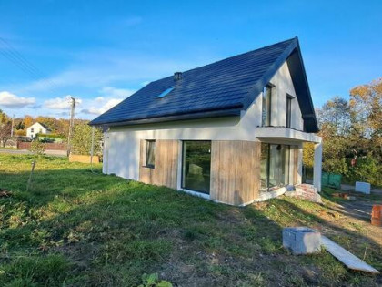 Dom wolnostojacy, stan deweloperski, bez PCC