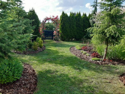 Sprzedam działkę ROD „Nad Łydynią” - Ciechanów