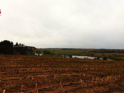 Działka rolno-budowlana Żegary gm. Sejny