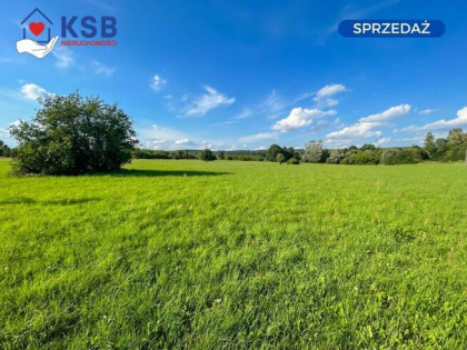 Działka budowalna z WZ - 1,05ha - Michałów