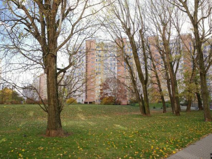 Bezpośrednio sprzedam mieszkanie, 69,6 m2, Wa-wa-Praga Płd.