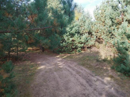 Działka na sprzedaż - 13 359 m² - Karlino