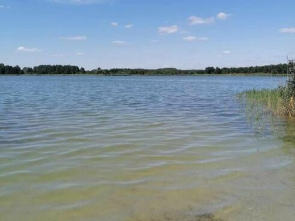 Sprzedam działkę nad jeziorem Głuszyńskim