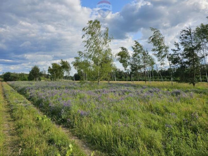 Działka budowlana MPZP w dolinie Jeziorki