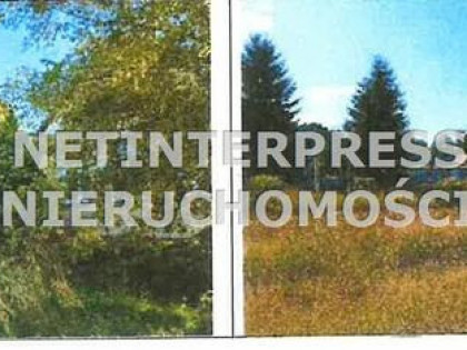 Powierzchnia biurowa Piotrowiec gm. Pieniężno