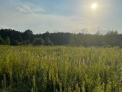 Działka budowlana blisko lasu, idealna inwestycja.