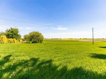 Działka budowlana Maszki K. Wojciechowa gm. Wojciechów,
