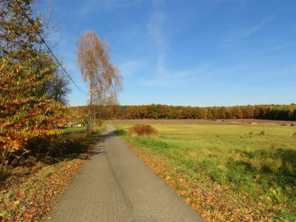 Działka budowlana Chełm Śląski