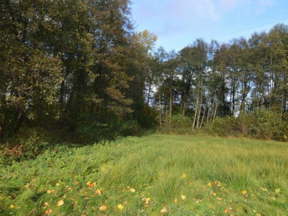 Sprzedam dzialke budowlana slawoborze