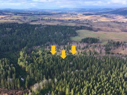 Działka rolna Czarna Lipie