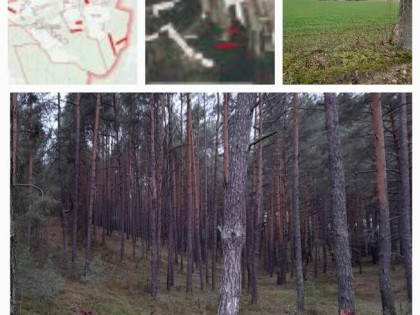 Działki pod produkcję rolną, produkcję siana, lasy