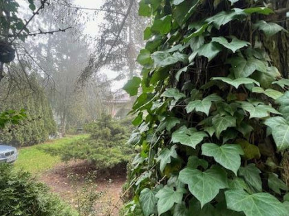 Działka usługowa Warszawa Wesoła