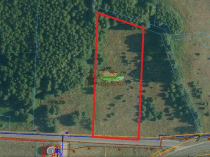 Działka rolna Kuźnica Głogowska gm. Sława,