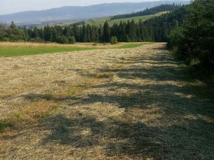 Do sprzedania działki rolne w Dursztynie