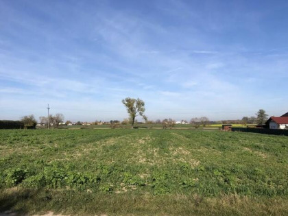 Działka Paczkowo, gm. Swarzędz