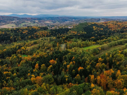 Działka rolna Pogwizdów gm. Bochnia