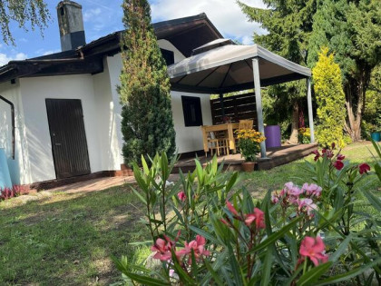 Sprzedam działkę ROD „Piast” – Szczecin, ul. Przy Ogrodach