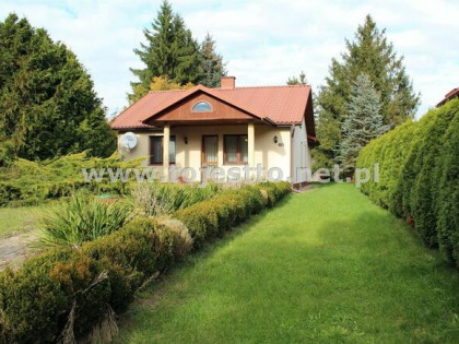 Kameralny dom na dużej działce, Horodło