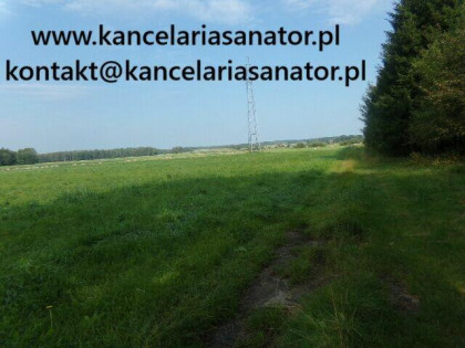 Syndyk sprzeda działkę w m. Wrzesinia wraz z udziałem - 75%