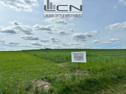 Na sprzedaż działki w Janczewie woj. lubuskie
