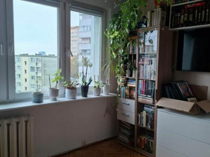 Wynajmę 2-pokojowe mieszkanie – ul. Komuny Paryskiej, Szczec