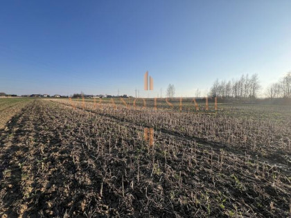 Działka budowalna 1547 m2 | Wydane WZ | Media