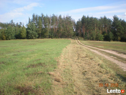 nieruchomosc rolna z planem inwestycyjnym.