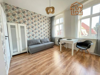 Nowogrodzka 4,Okole,przyjazna zwierzętom kawalerka