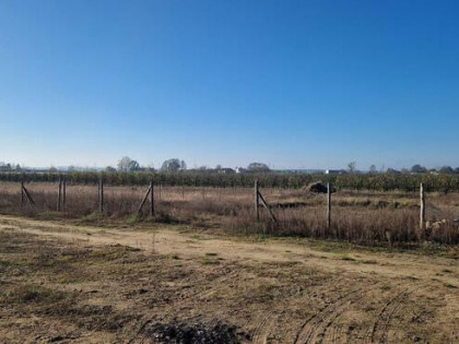 Działka budowlana 2000m2 Chełmica Duża