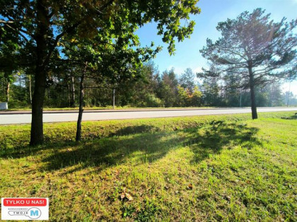 Działka budowlana Sitkówka- Nowiny gm. Sitkówka-Nowiny Sitkówka- Nowiny