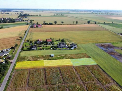 Działka budowlana Dolne Pole gm. Kaźmierz, Dolne Pole