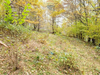 Działka rolna 393 m² w Oczkowie – blisko jeziora