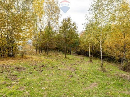 Działka leśna 862 m² w Oczkowie