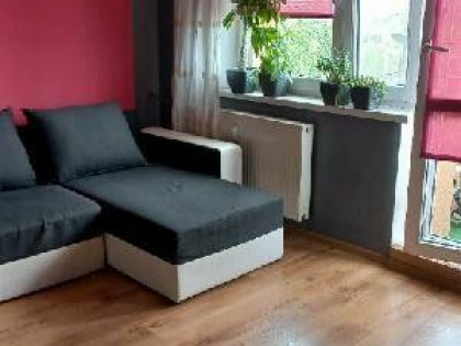 Wynajmę mieszkanie elektrownia Rybnik