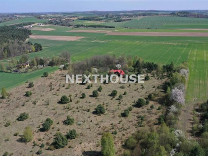 Działka leśna Kroczyce Piaseczno