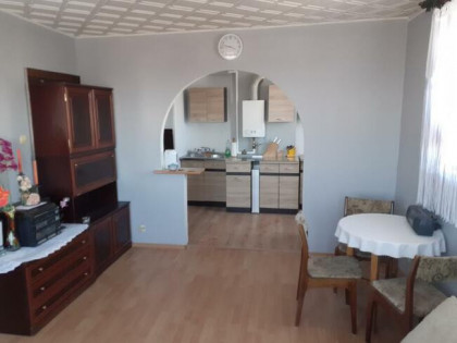 Wynajmę mieszkanie w Małomicach