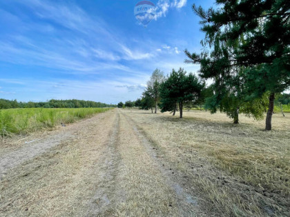 Działka budowlana nr 59/20 Józefów gm. Pniewy