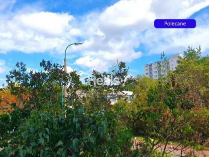 2POK.BLISKO UNIWERSYTETU MEDYCZNEGO