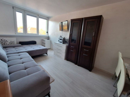 OŁAWA! 2 pokoje, niskie piętro, budynek z windą!