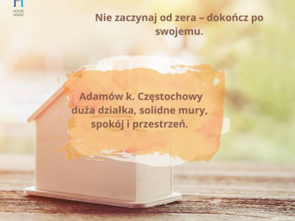 Dom Adamów gm. Kłomnice, Żabia