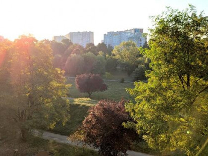Wygodne mieszkanie w zielonym otoczeniu -58,54