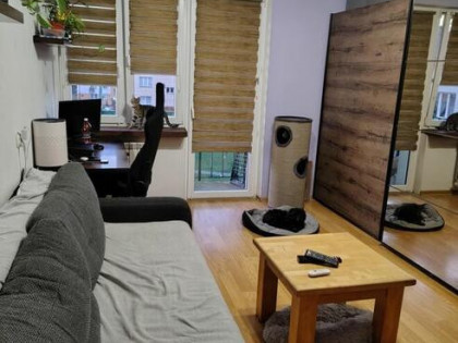 sprzedam mieszkania 37,9m