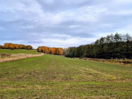 Działka rolna Zawada Uszewska gm. Gnojnik