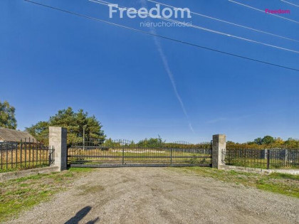 Działka,3000m2,zgoda na budowę i inne -Filipinów