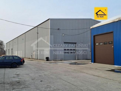 Lokal użytkowy Ryki, Ryki