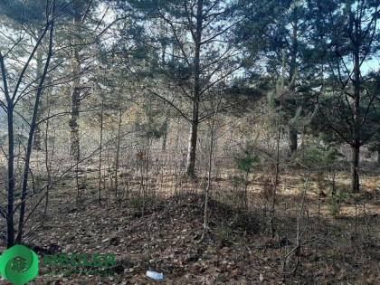 Działka z pozwoleniem na budowę