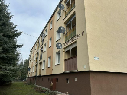 Udział 12/16 w lokalu mieszkalnym nr 7, Sulechów