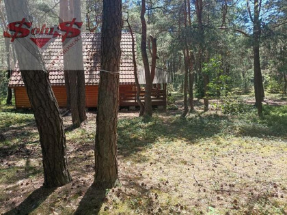 Działka leśna Zaborze gm. Żarki